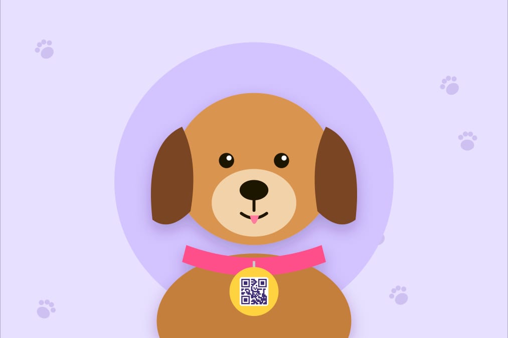Médaille QR code pour chien : être joint si votre animal se perd, sans afficher votre numéro
